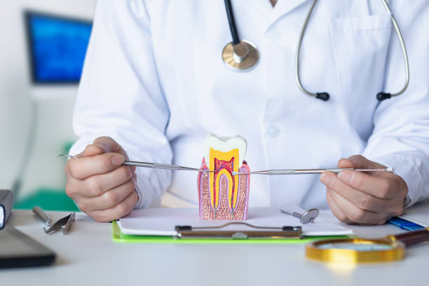 Best Emergency Treatment for Dental Infections or Abscesses in White Hall, AR